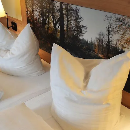 Hotel Zum Kellermann 3* Grafenau (Bavaria)