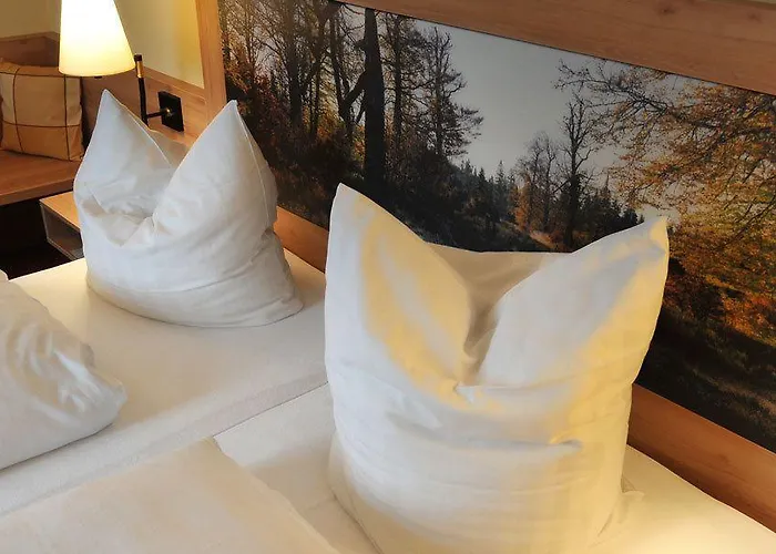 Zum Kellermann 3* Grafenau (Bavaria)